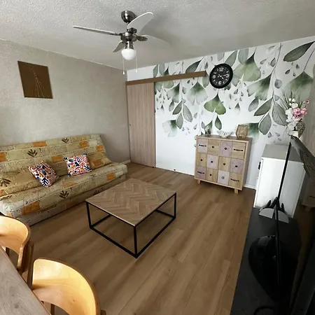 Cap D'agde Le Genois T2 De 36m2 Avec Parking Privatif Et Acces Internet Apartment Agde